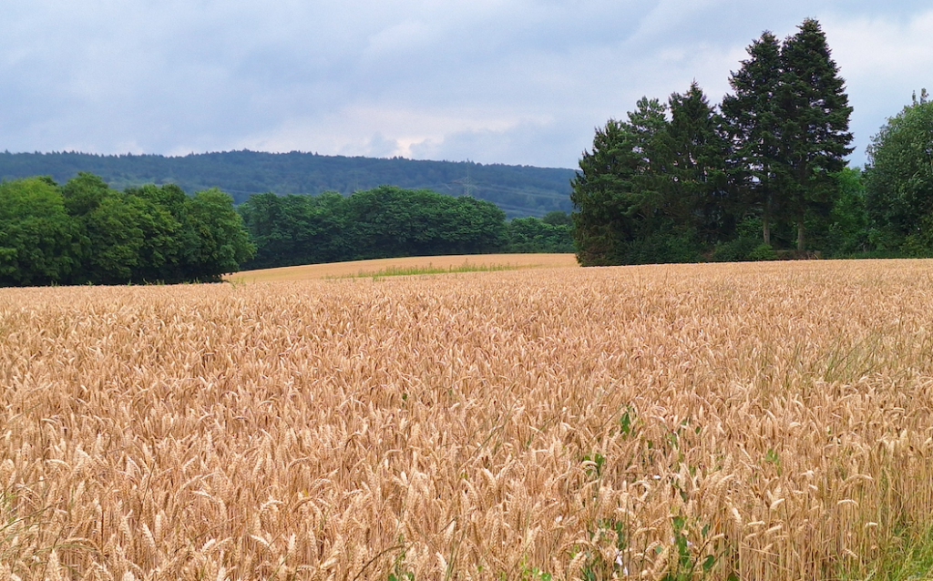 Blick nach rechts …