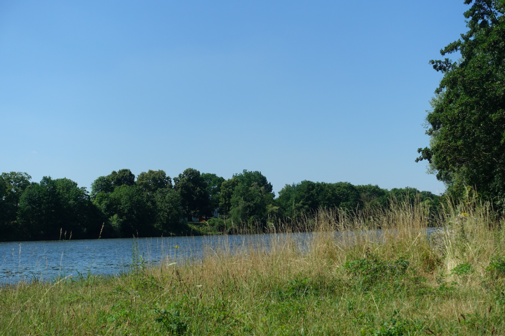 Oft gibt es schöne schattige Pausenplätze mit Mainblick