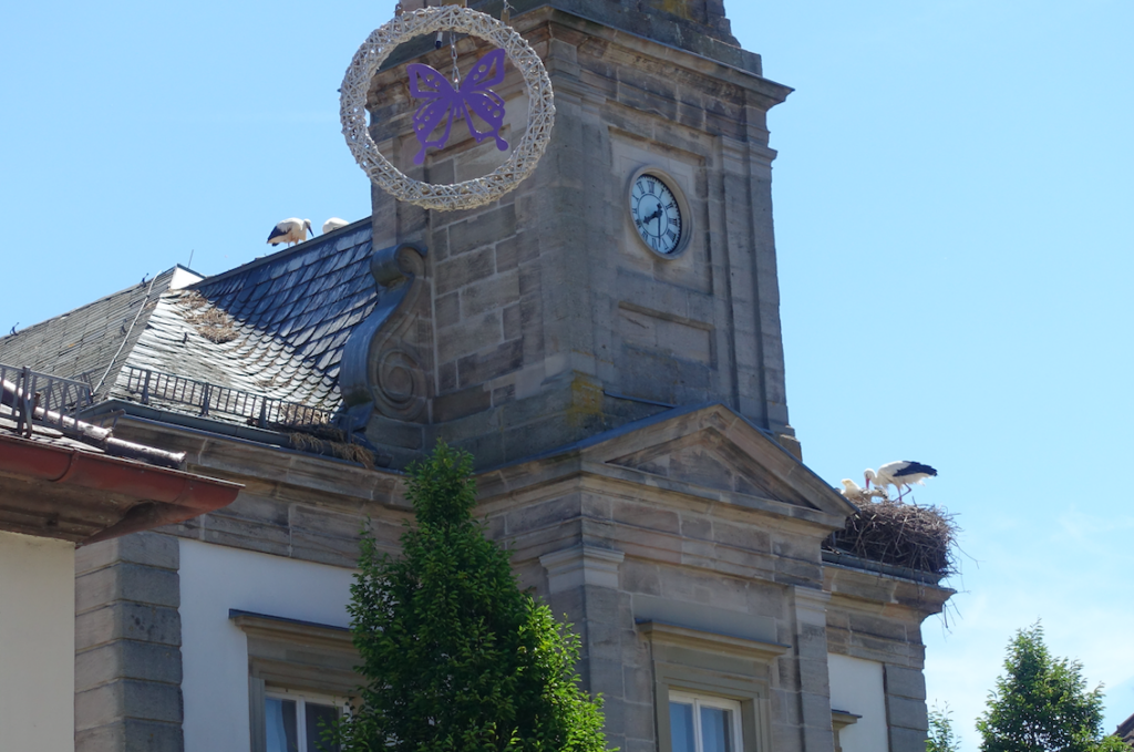 Heilige Störche auf Höchstadts Kirchendach