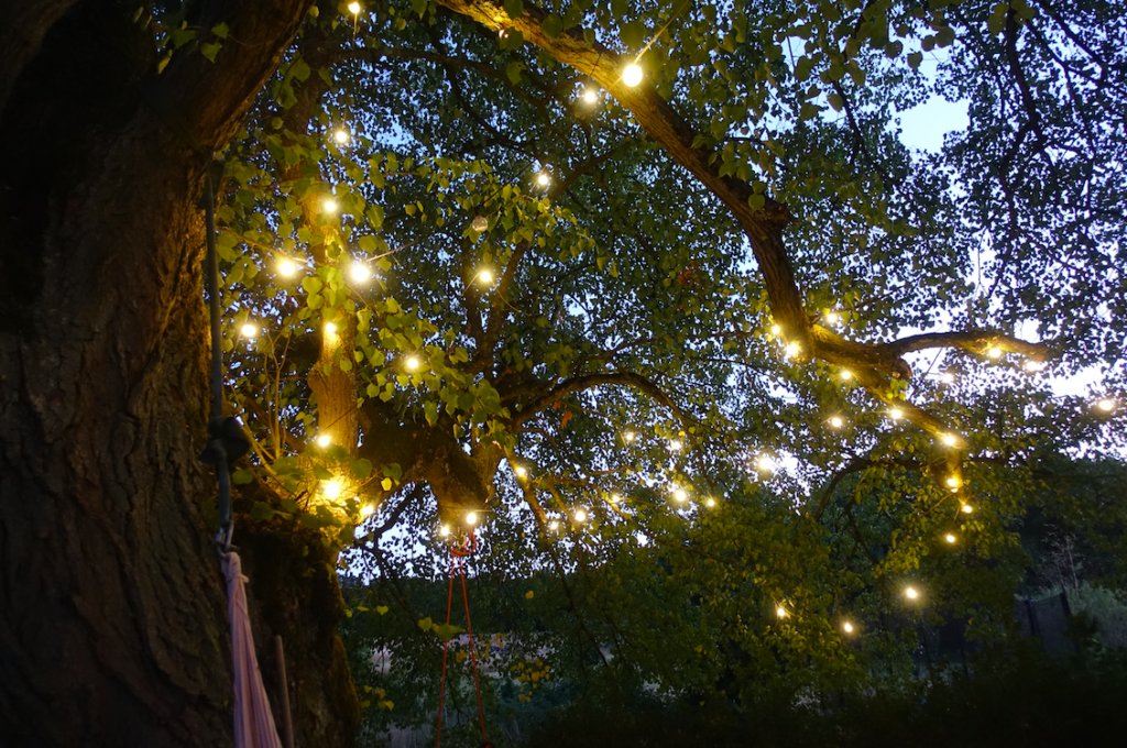 Romantik am Vorabend in Moniques Garten