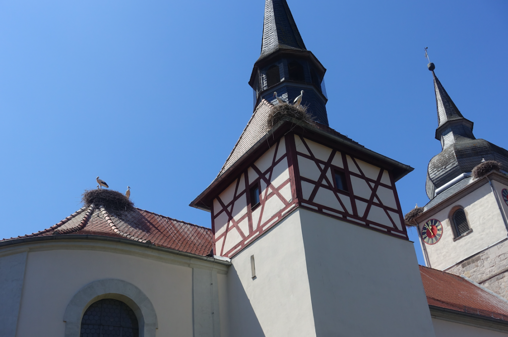 Mindestens ein Dutzend Störche auf einem Kirchendach