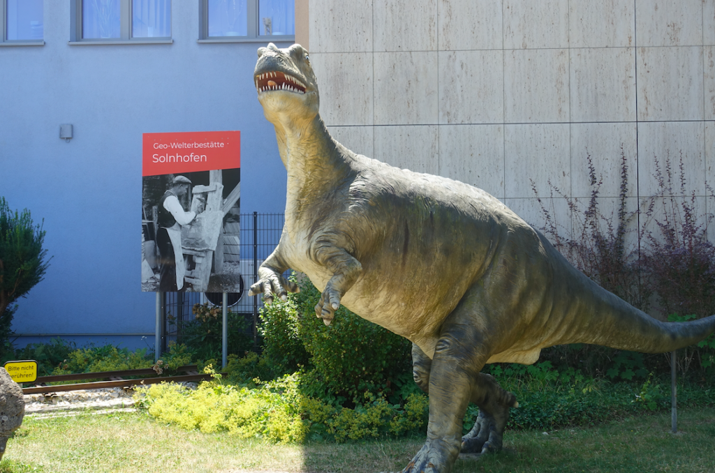 Museum in Solnhofen, wo viele Fossilien gefunden wurden … allerdings besuchten wir es nicht, denn diesmal gilt ja: Der Weg ist das Ziel