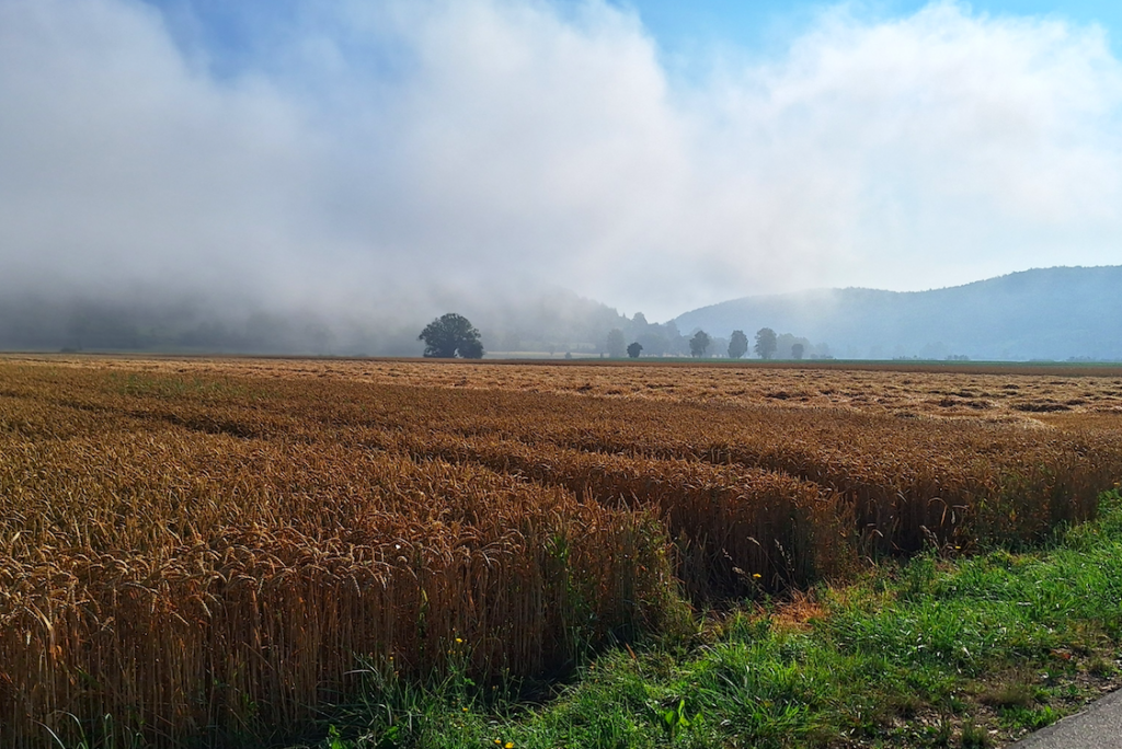 Der Nebel lichtet sich – und verzaubert die Landschaft