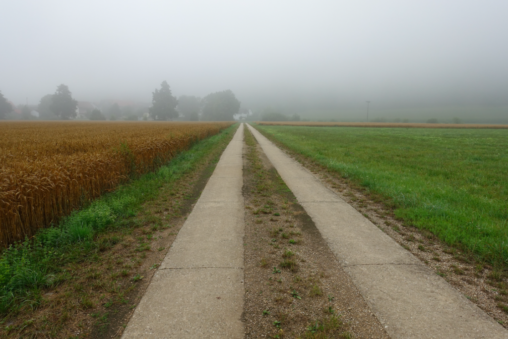 … und auf dem Radweg