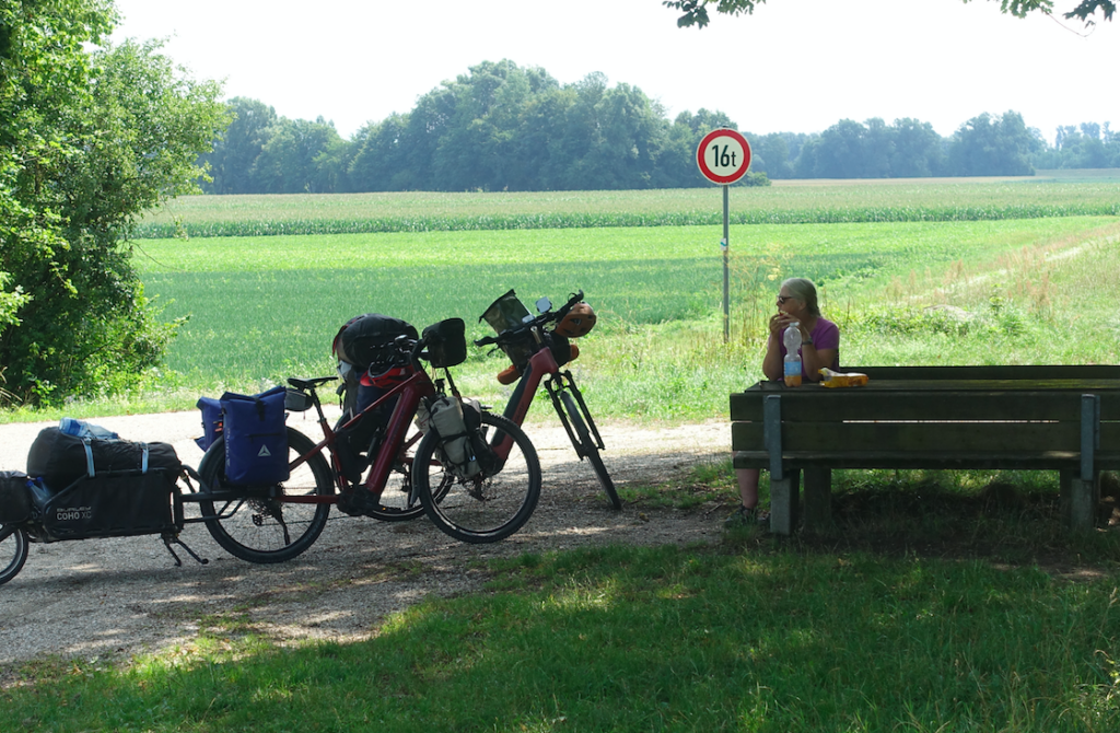 Rast in den Feldern