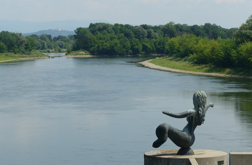 Nixe am Donauwehr bei Straubing