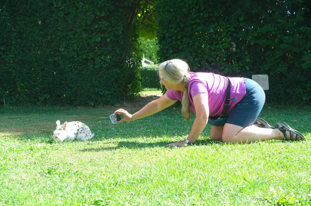 Hoppelhasen-Safari auf´m Campingplatz
