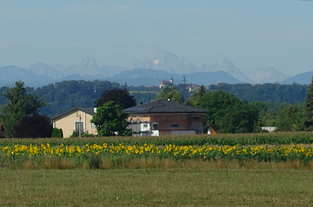 Heute war die Luft klarer … und die Alpen umso eindrucksvoller, wenn auch noch sehr weit weg