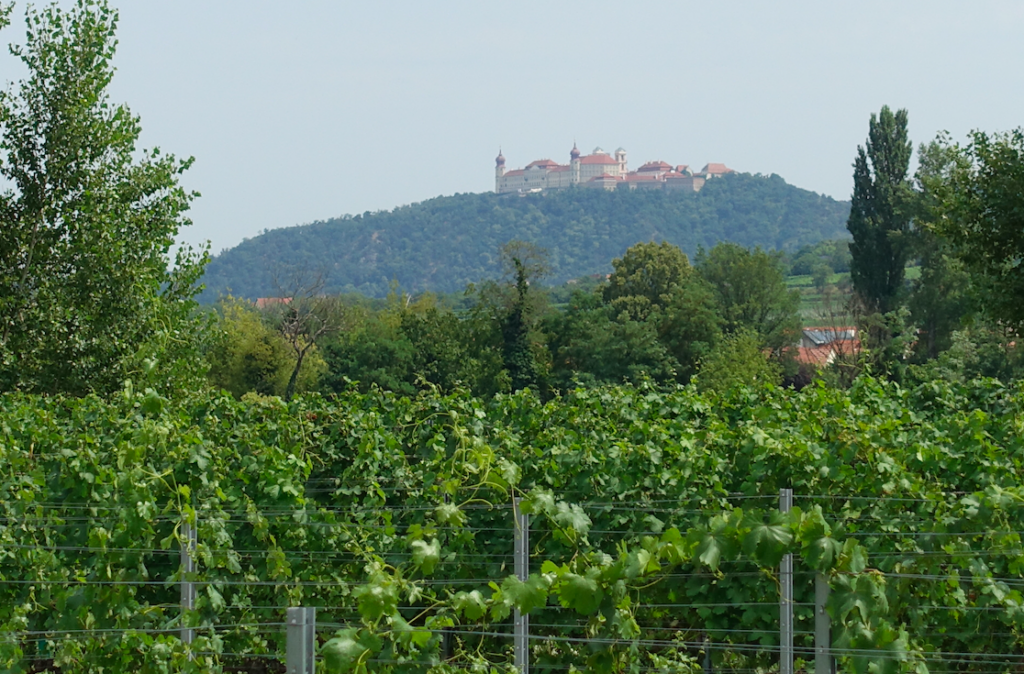 Irgendwie mediterran hier in der Wachau: Stift Göttweig in der Ferne, vorn Weinreben