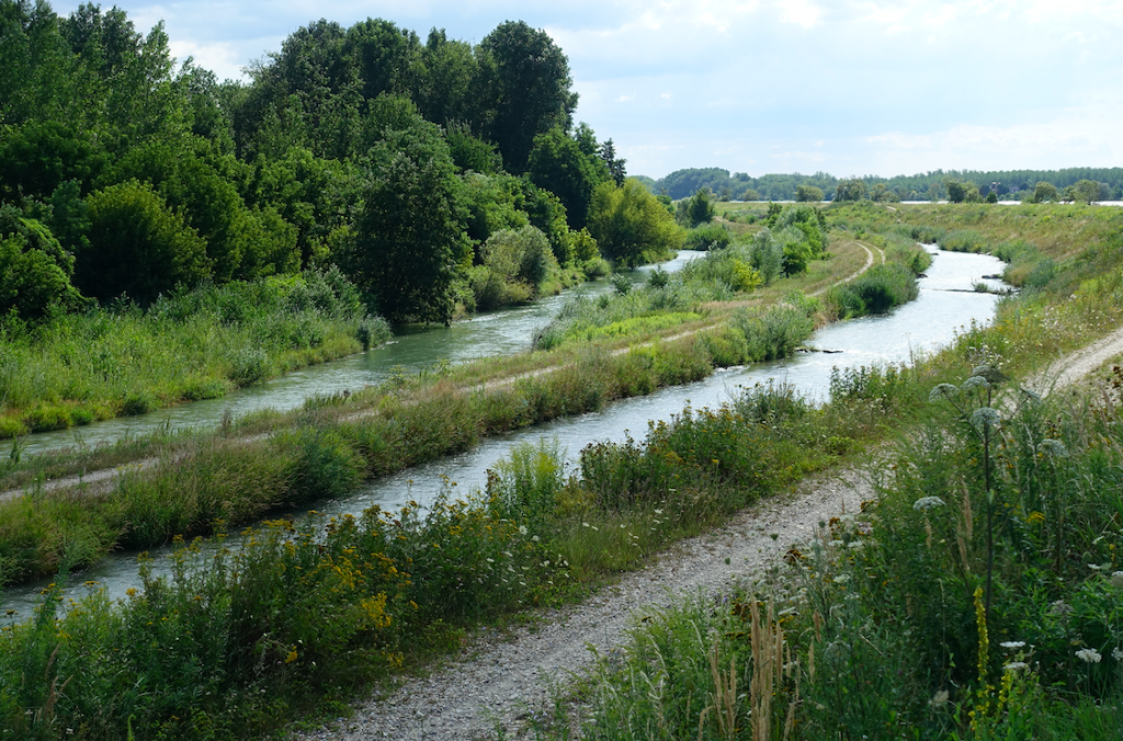 „Reißende“ Flüsse gleich neben dem Donaudeich: Anlagen für den Naturschutz