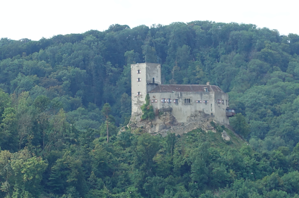 Eine der vielen Burgruinen an der Donau