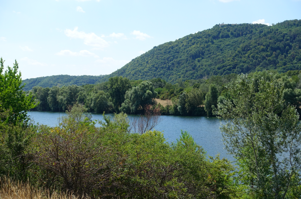Wunderbare Auenlandschaften an der mittleren Donau