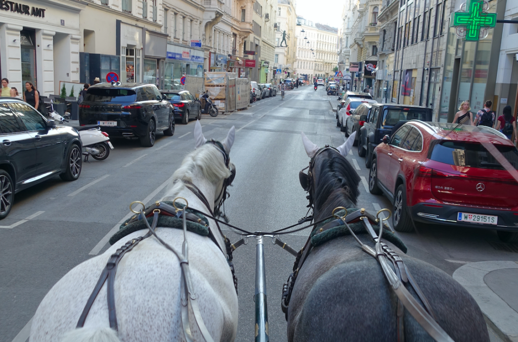 58 Fiaker fahren gleichzeitig über Wiens Straßen