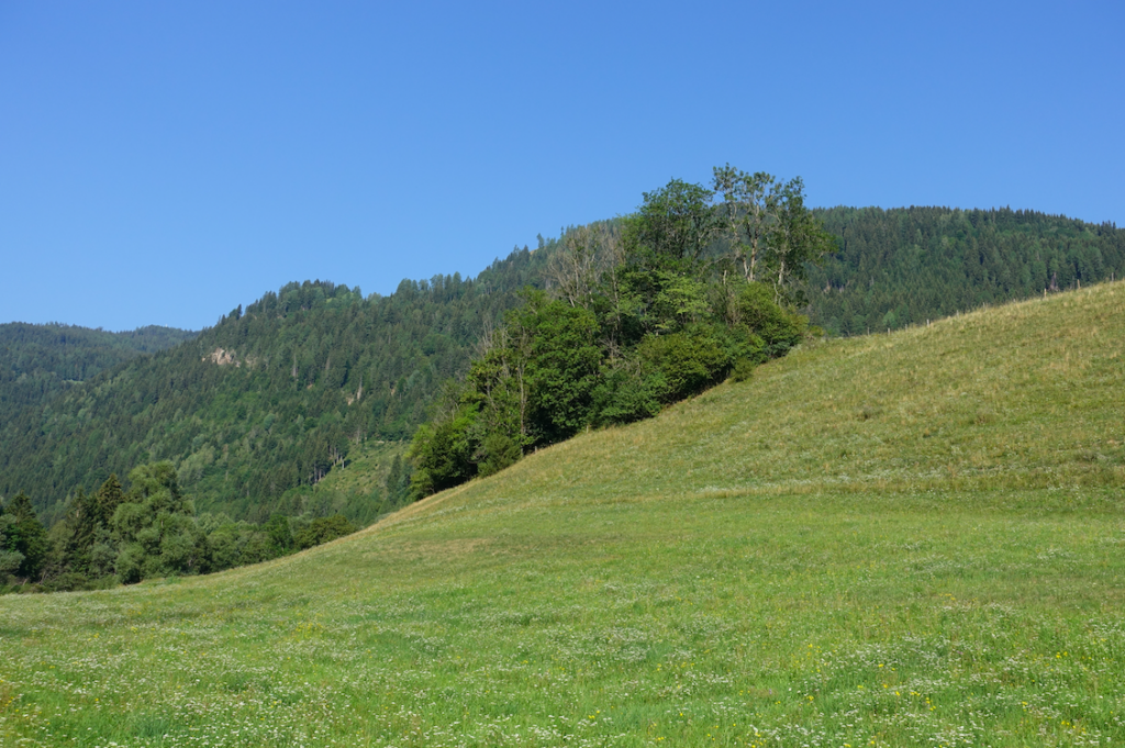 Der Wechsel zwischen flacher Aue und steilen Hängen prägte auch die heutige Tour