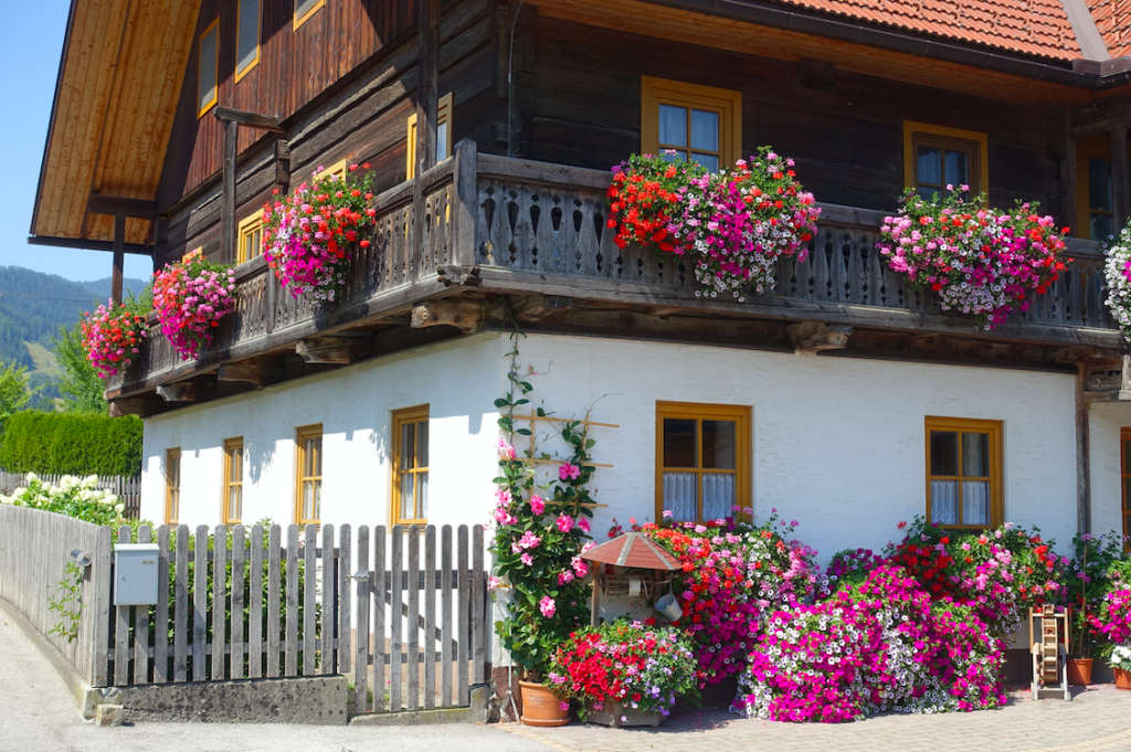 Wieviele Blumen gibt es in Österreich? 100 x mehr als bei uns?