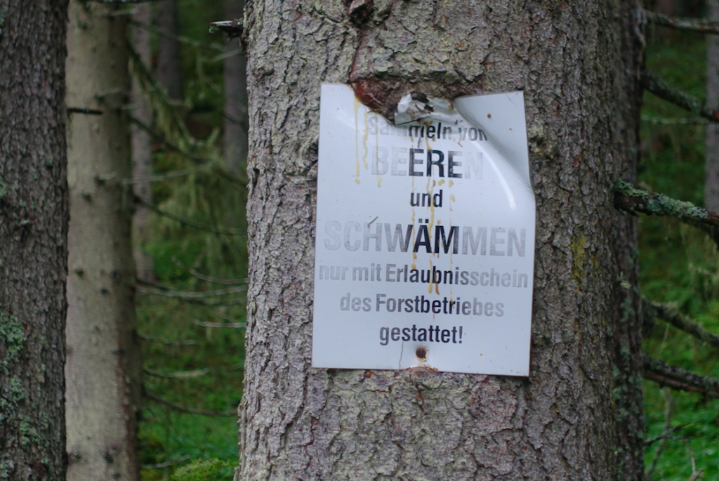 Das gibt es in Schweden allerdings nicht!
