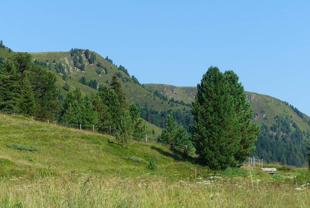 Sonnenüberflutete Almen auf dem Schönfeldsattel