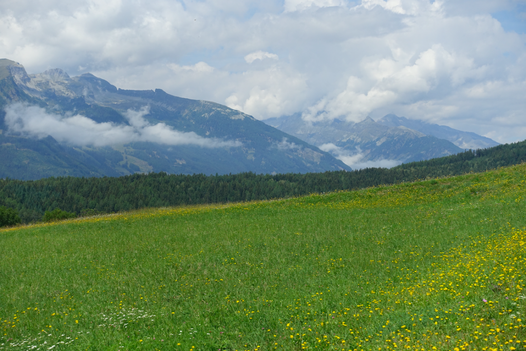 Almwiese mit Blick in die Reißeckgruppe