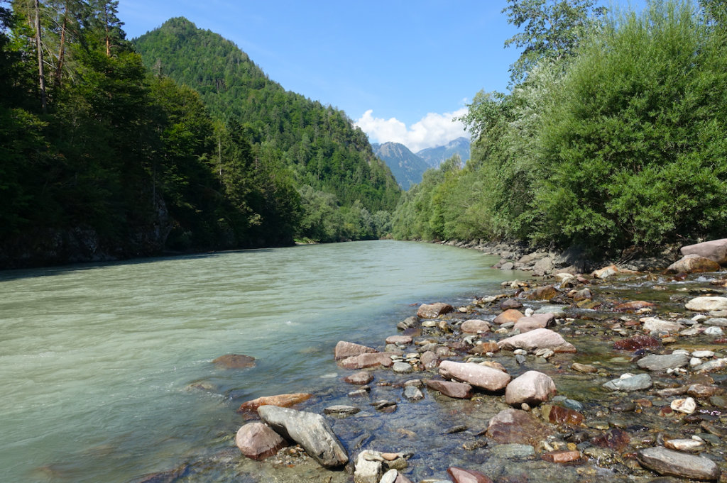 Typisch Drau – wenn man so nah ans Ufer kommt