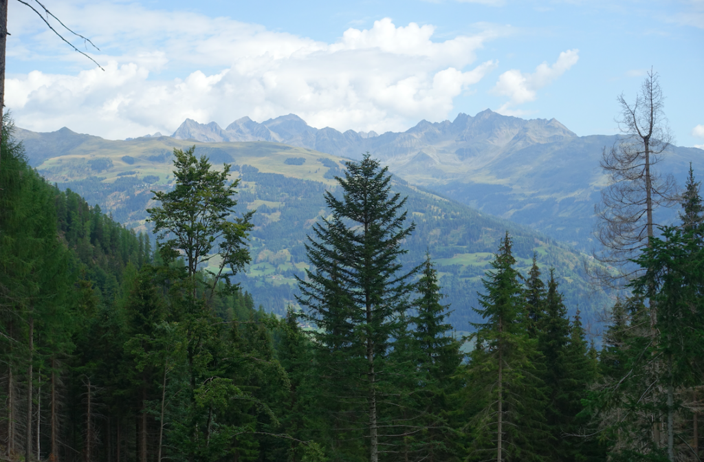 Blick auf die Schobergruppe nördlich von Lienz (höchster Gipfel ist das Petzeck mit einer Höhe von 3283 m)
