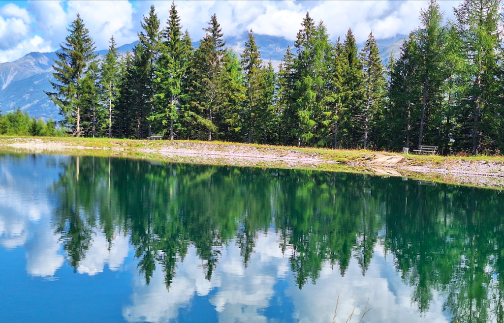 Kleiner künstlicher Bergsee – aber mit Molchen, Fischen, Libellen und einer Äskulapnatter