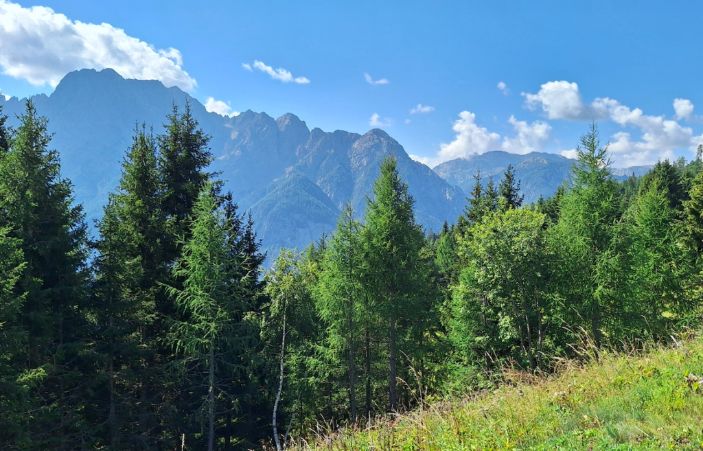 Und dann fuhren wir fast allein nochmals 500 m höher mit einem kleinen Sessellift – und die Aussichten wurden immer grandioser