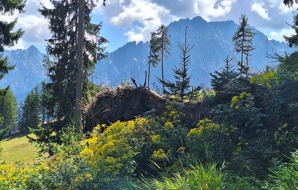Weil´s so schön ist, einfach noch eins von den Lienzer Dolomiten