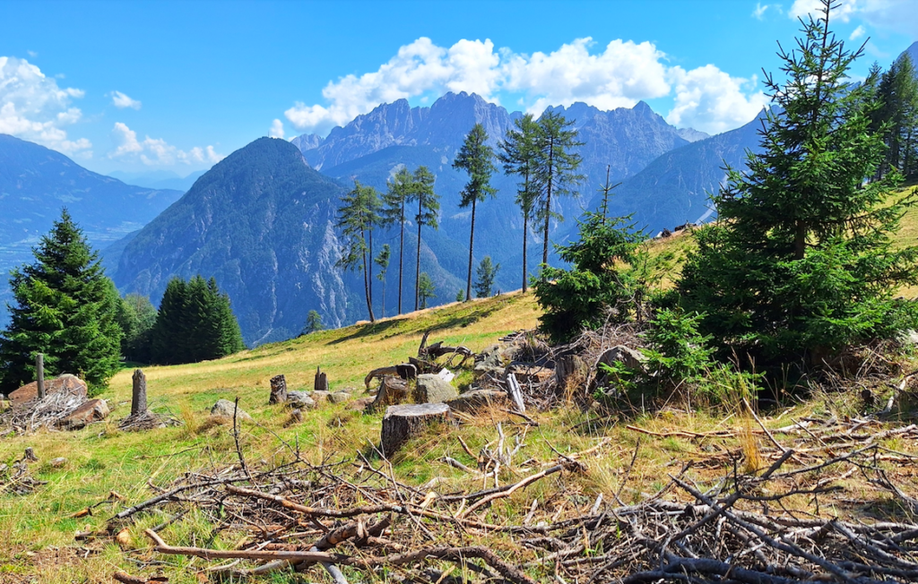… und die Aussicht, die wir beide sahen!