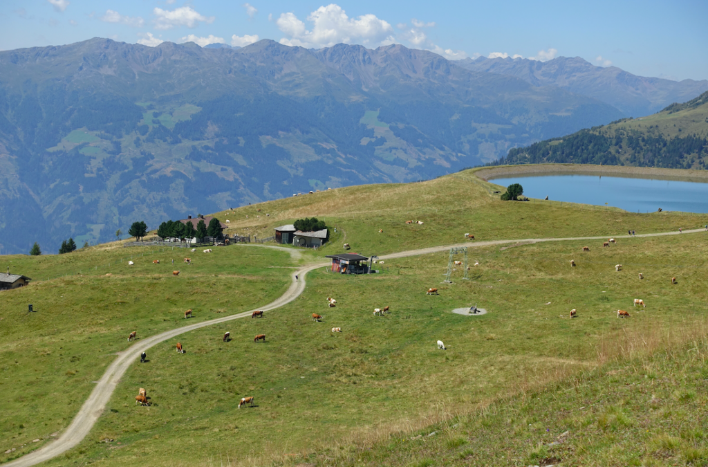 Beim Aufstieg Blick auf die Alm: Der schwarze Punkt auf dem Weg ist Sabine