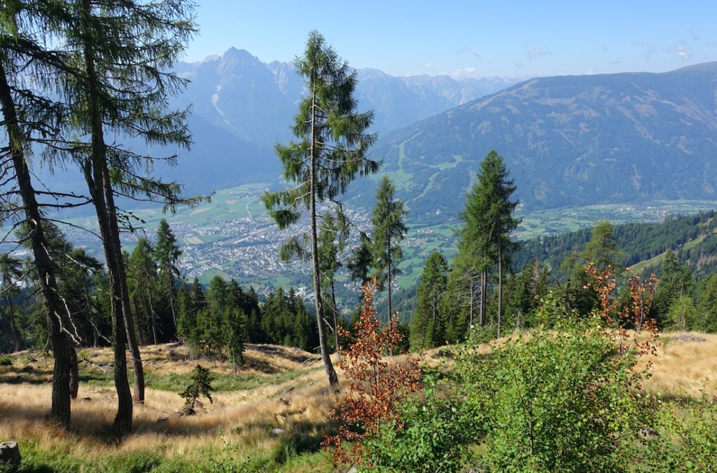 Am Anfang gab es noch Schatten