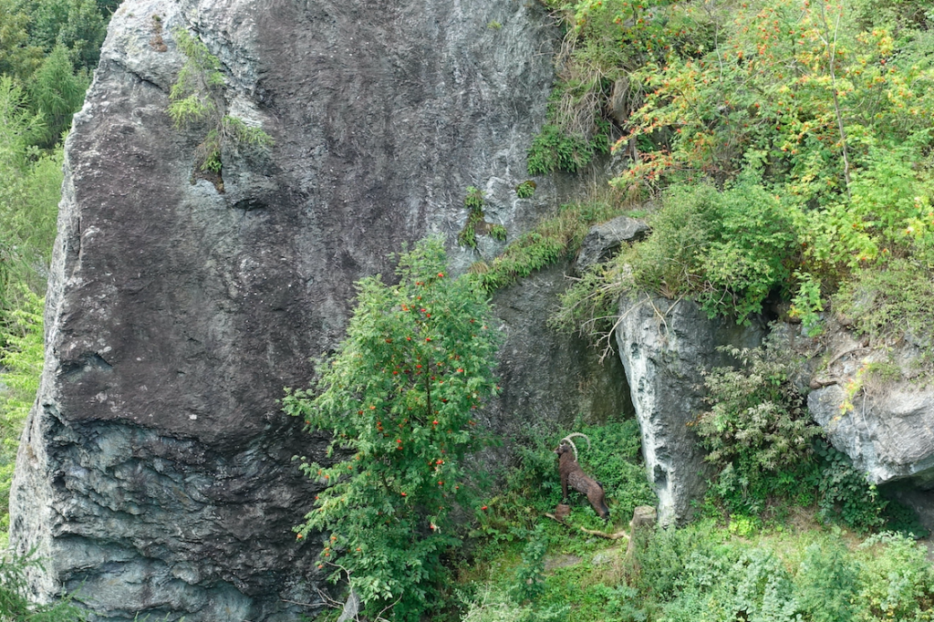 Wow, ein Steinbock! … Nein, nur ein Gummitier auf einem Bogenparcours unterhalb der Brücke