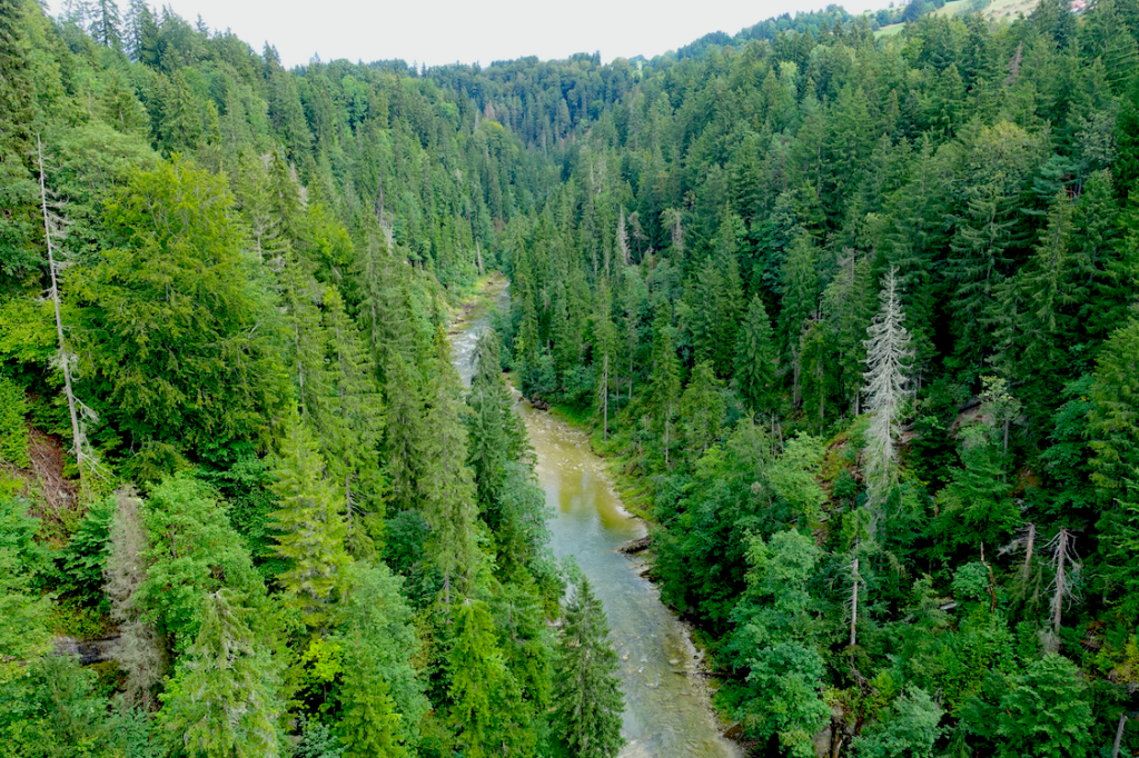 Blick in die Ammerschlucht von einer Brücke