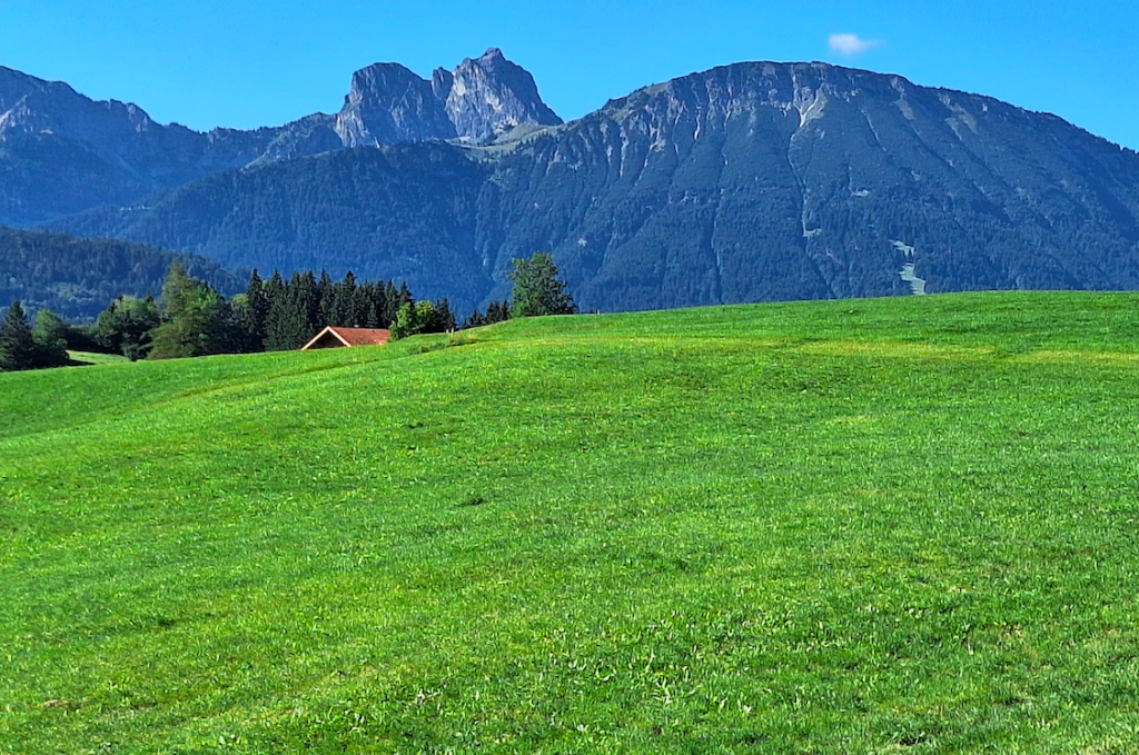 Allgäu eben!