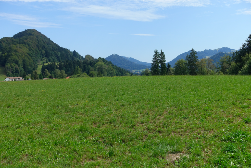 Keine 40 km im Bregenzerwald, aber 670 m Aufstiege. Hmmm, ob Komoot recht hat?