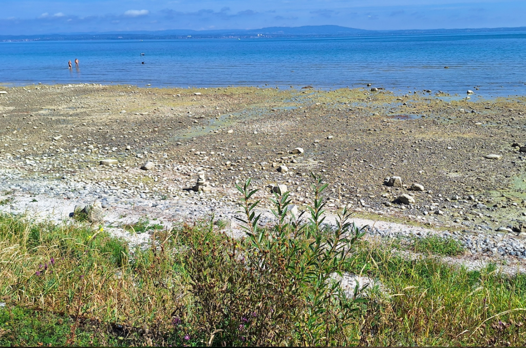 Nie war der Bodensee im August in 163 Jahren so niedrig