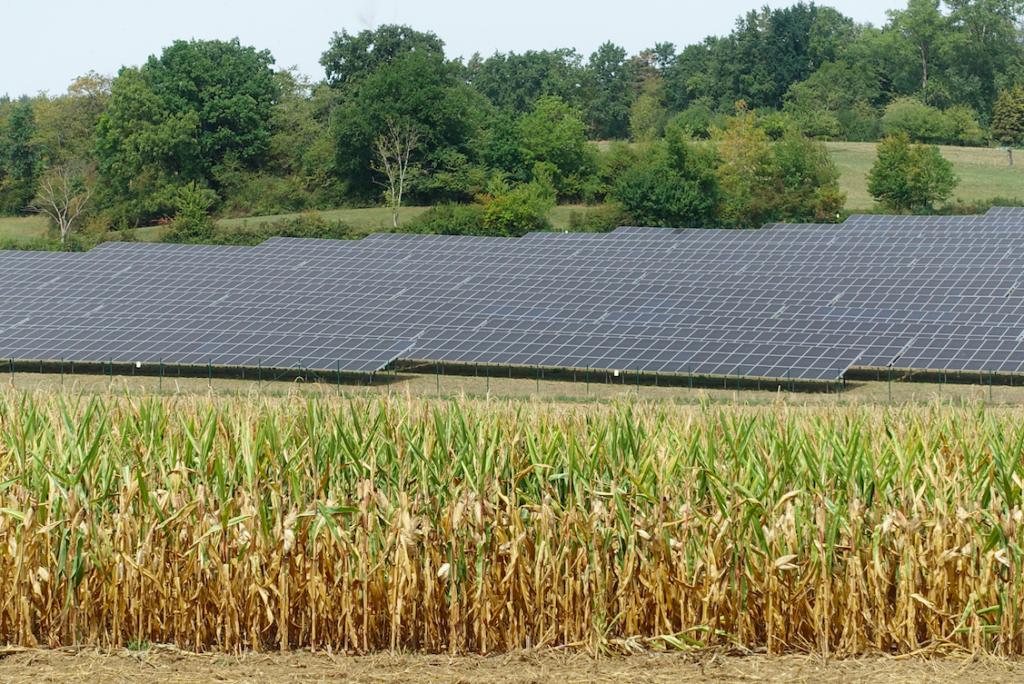 Des Maises Schaden ist des Solarbauern Freud