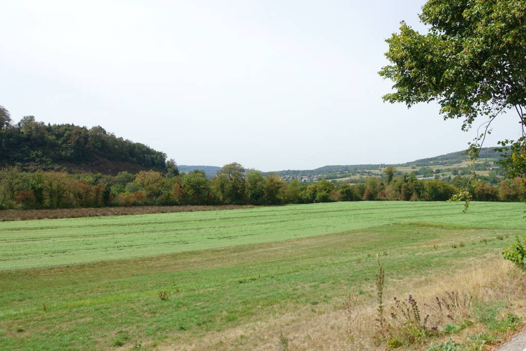 Nun ja, die Landschaft hingegen war heute irgendwie trist …