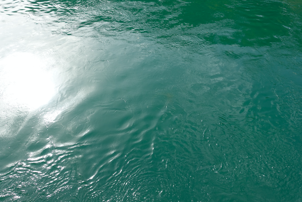 An alle Kölner/Leverkusener: Dieses wunderbare Rheinwasser wird in ca. einer Woche bei euch ankommen ;)