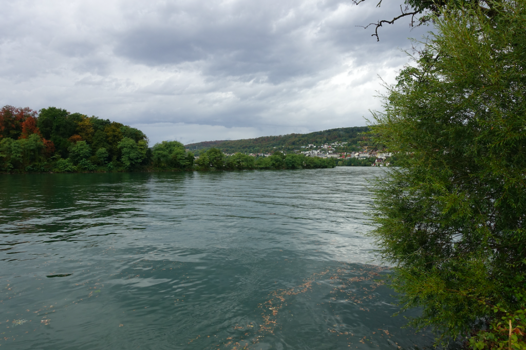 Der Rhein nach dem Gewitterregen