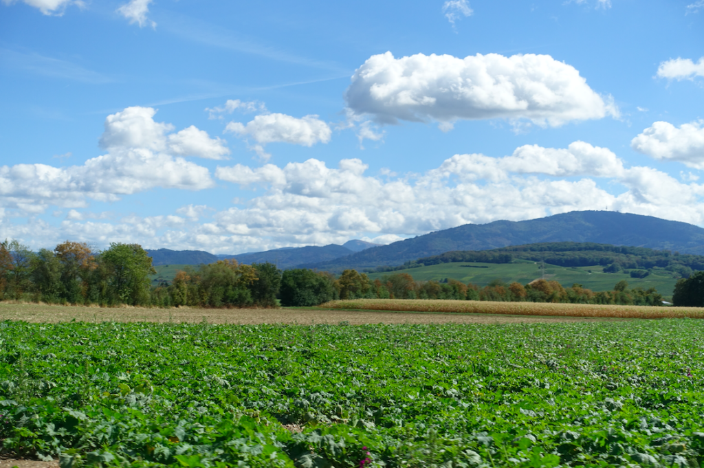 Blick auf die Höhen des Südschwarzwaldes beim „Einkaufs-Abstecher“