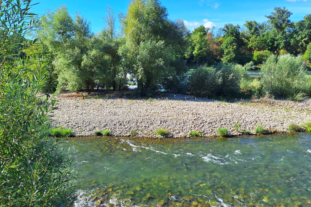 Kaum zu glauben, dass das der Rhein ist
