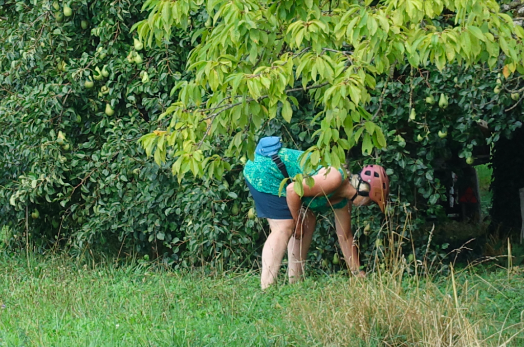 Sabine beim Birnenklau in flagranti erwischt ;)