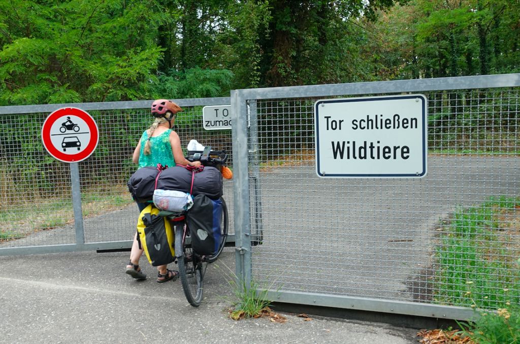 … Denn hier ging die Tour tatsächlich weiter (Tiere sind uns jedoch keine begegnet)