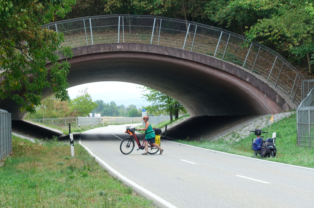 Gut, das Sonntag war: So konnte man auch auf einer Bundesstraße gefahrlos drehen