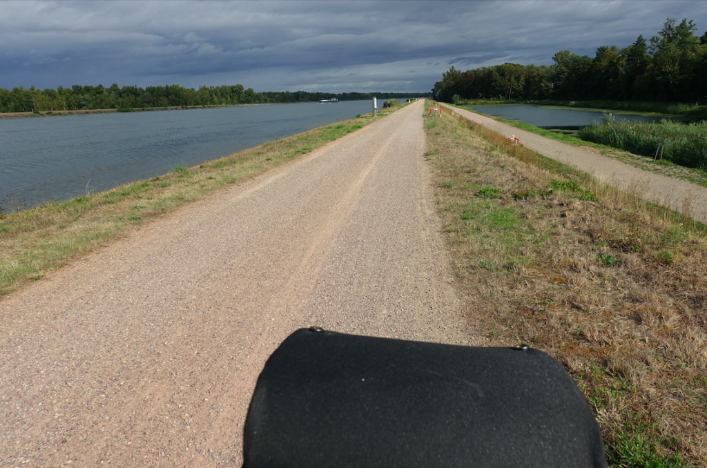Die ersten 15 km sehr typisch: Links der Rhein, rechts Altrhein, Radweg auf´m Deich