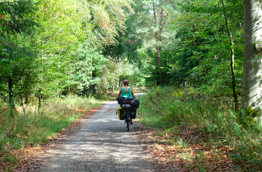 Heute hatten wir sehr lange Strecken durch Wald