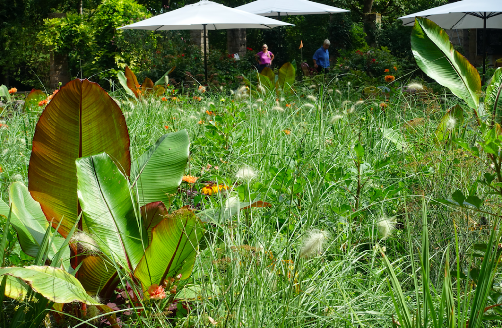 Der üppige Garten am Café