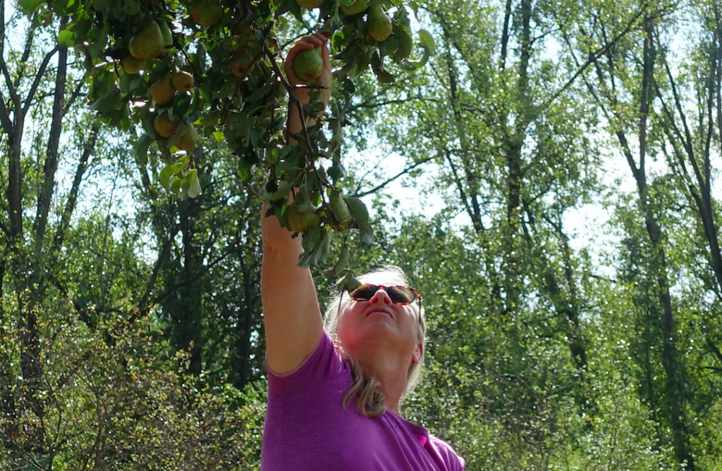 Wieder in flagranti … tss!