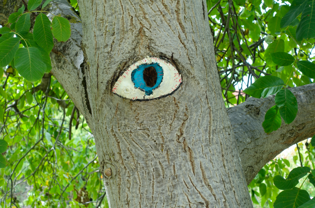 Doch hier hat der Baum ein wachsames Auge ;)