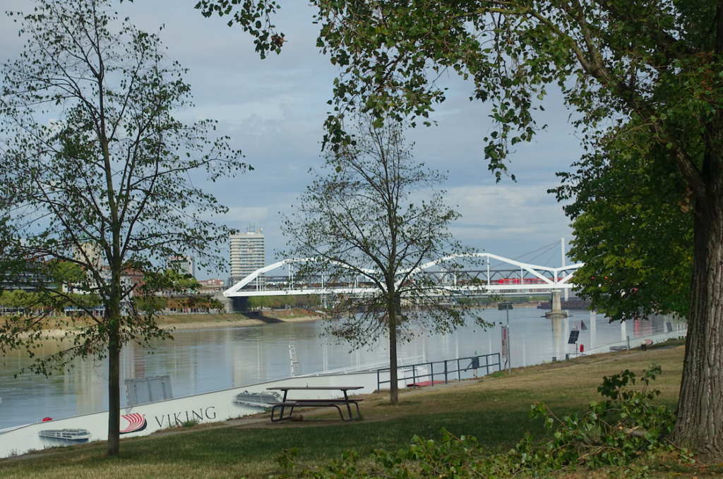 Brücke von Mannheim nach Ludwigshafen
